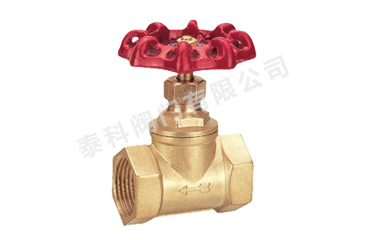 1586313531.jpg drgg56148174.jpg