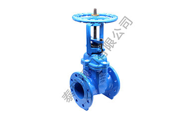 1609741144.png 明桿閘閥.png