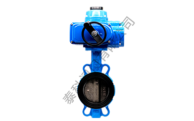 電動(dòng)對(duì)夾蝶閥.png