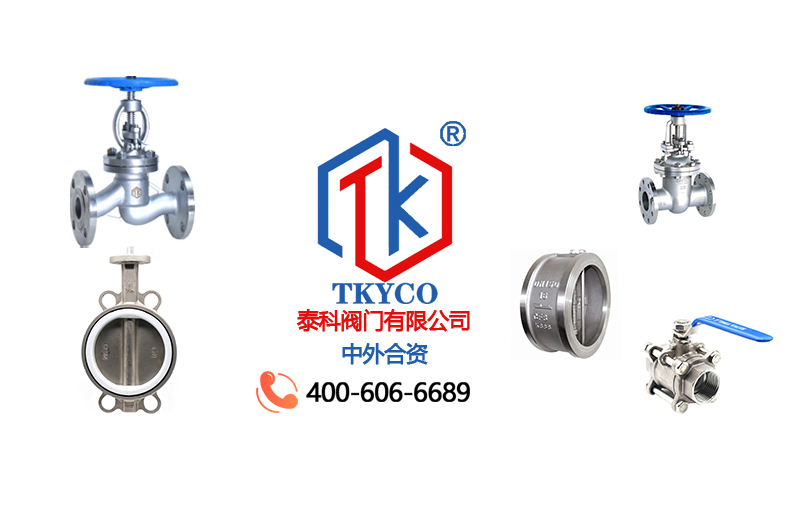 1683250445.jpg tktyco新聞圖.jpg