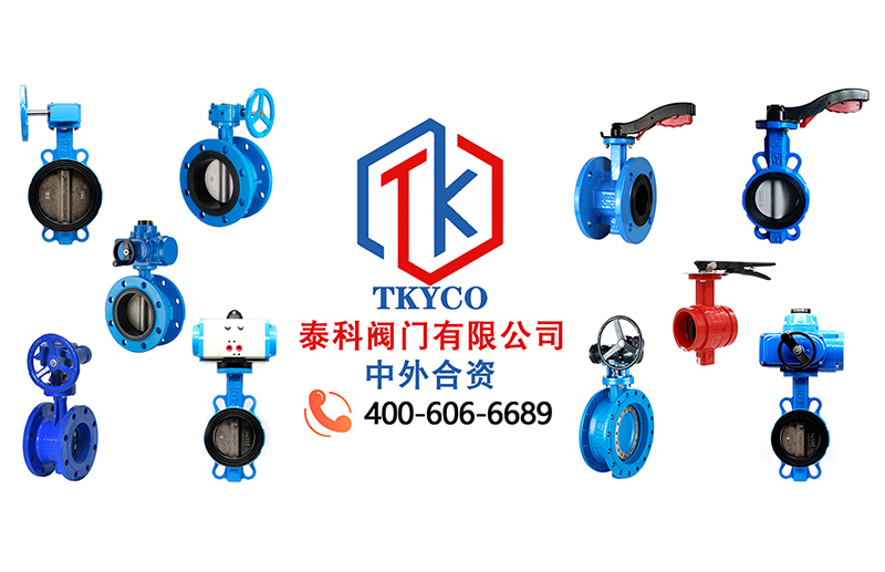 1686707909.jpg tktyco新聞圖.jpg