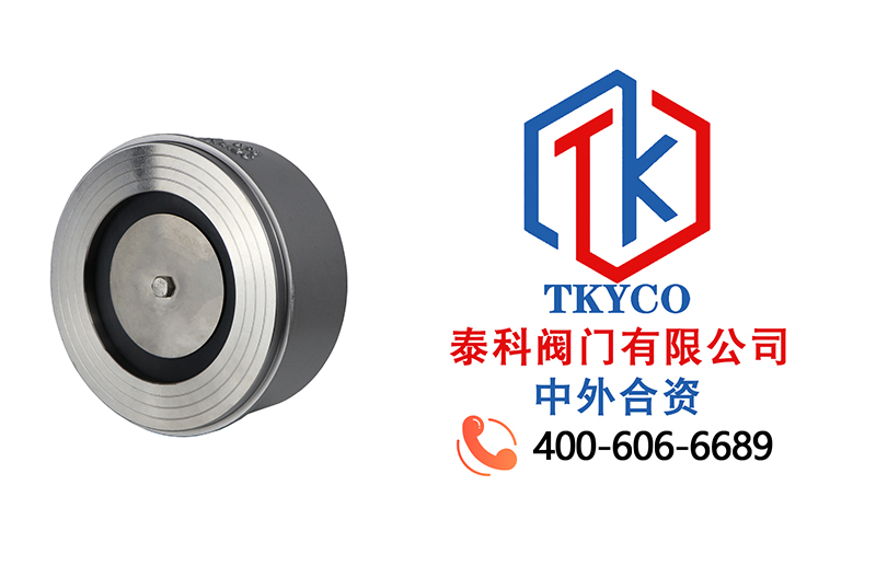 1697508894.jpg 對(duì)夾式止回閥拼圖.jpg