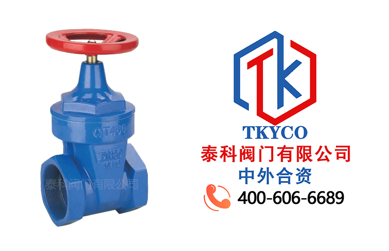 1709604133.jpg 內(nèi)螺紋彈性密封閘閥拼圖.jpg