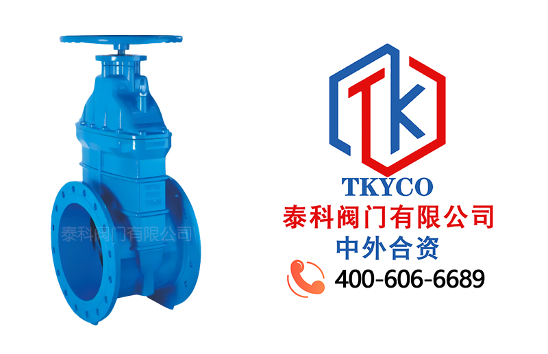 1713838350.jpg 大口徑彈性座封閘閥拼圖.jpg