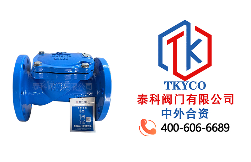 1714440896.jpg 橡膠瓣止回閥拼圖.jpg