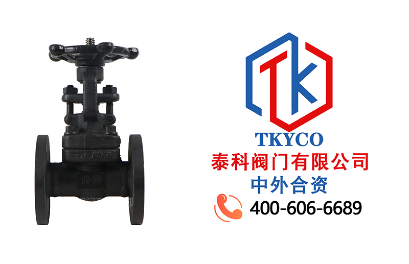 1718677051.jpg 鍛鋼法蘭閘閥拼圖.jpg