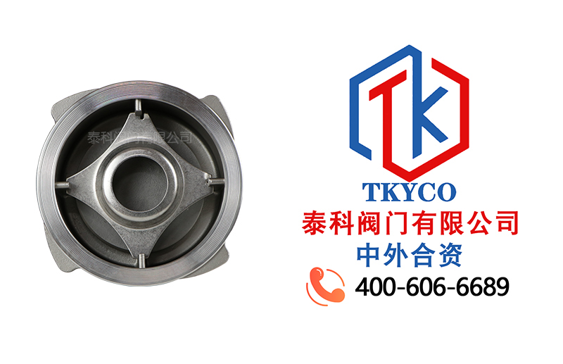 1722908902.jpg 不銹鋼對夾式止回閥拼圖.jpg