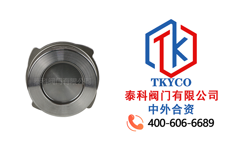 1728957617.jpg 不銹鋼對(duì)夾式止回閥拼圖.jpg