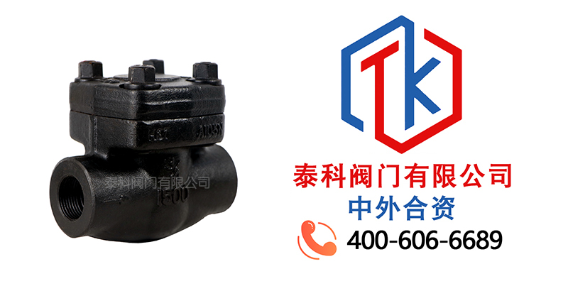 1750730129552849.jpg 鍛鋼對夾止回閥拼圖1.jpg