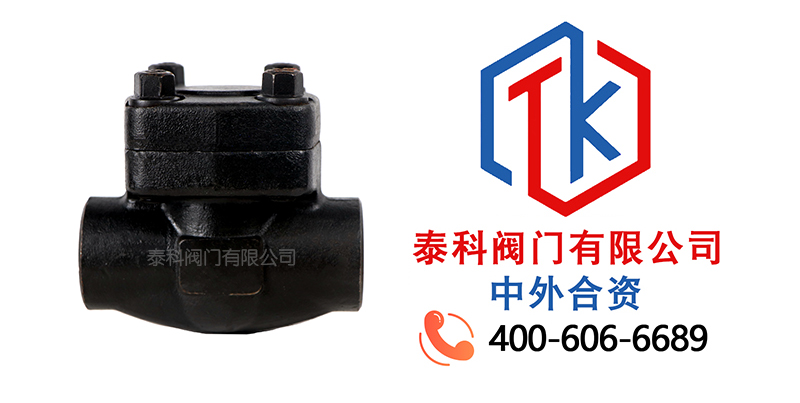 1752546772147865.jpg 鍛鋼對夾式止回閥拼圖.jpg